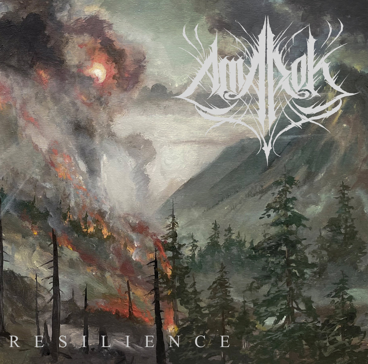 Amarok - Resilience