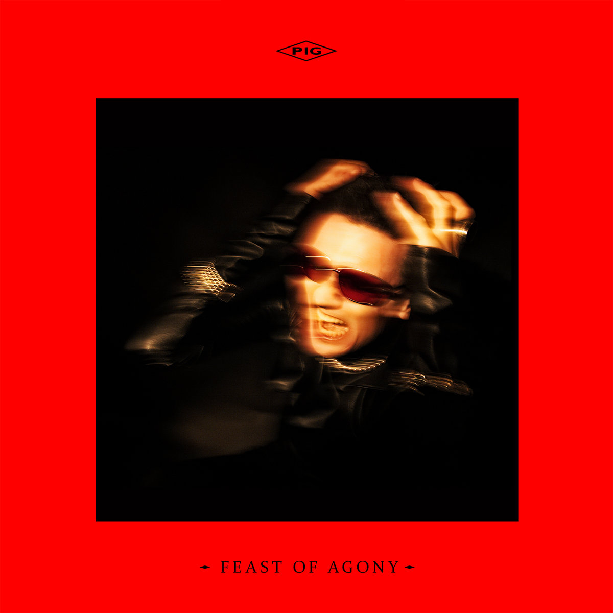 PIG - Feast Of Agony