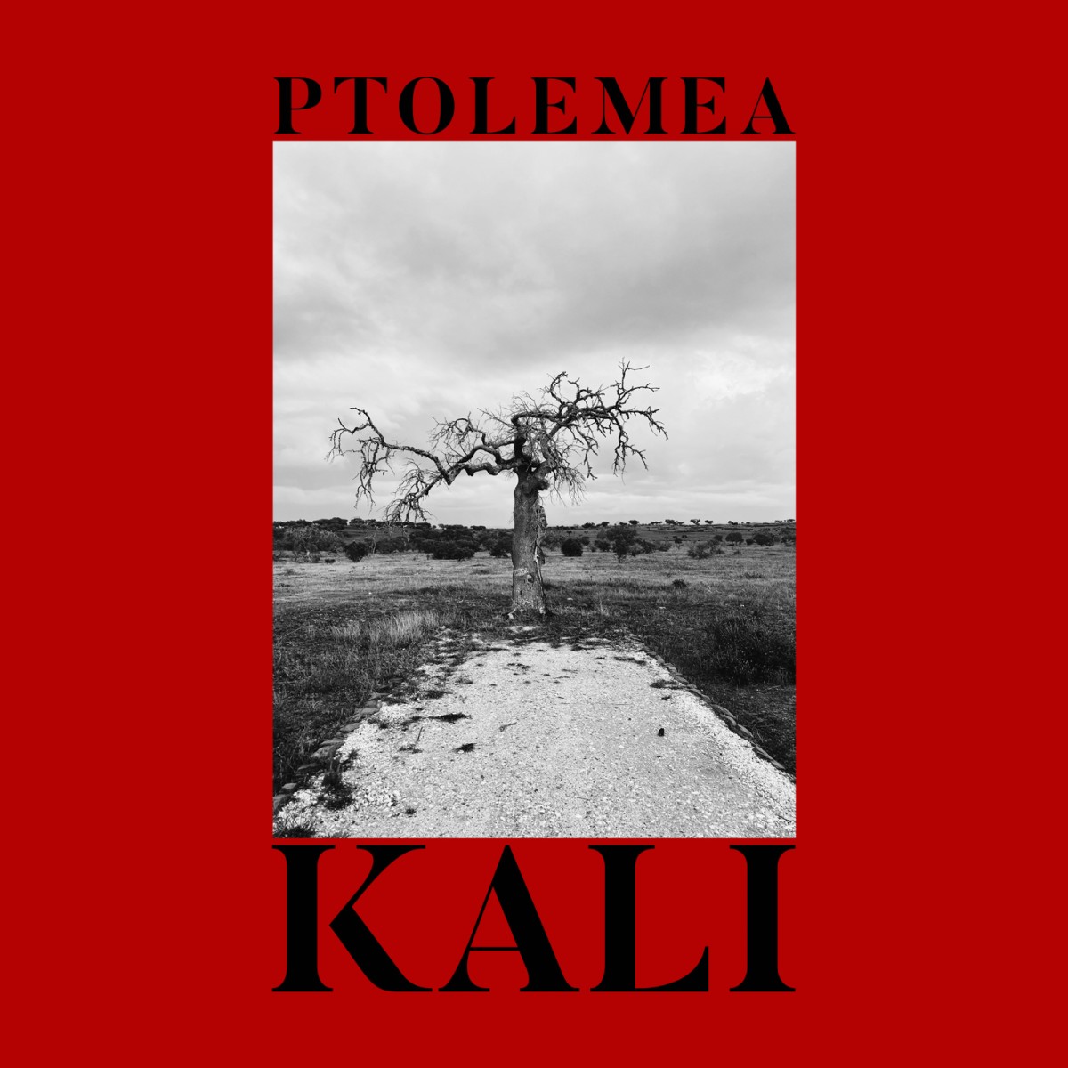 Ptolemea - Kali