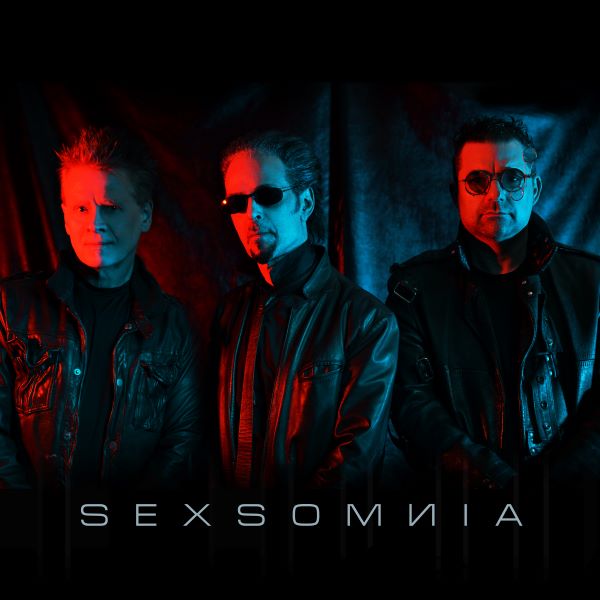 Sexsomnia