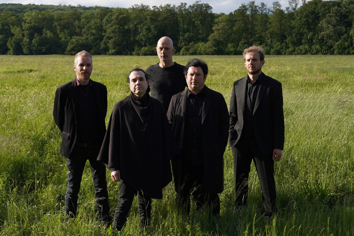 Whispers In The Shadow