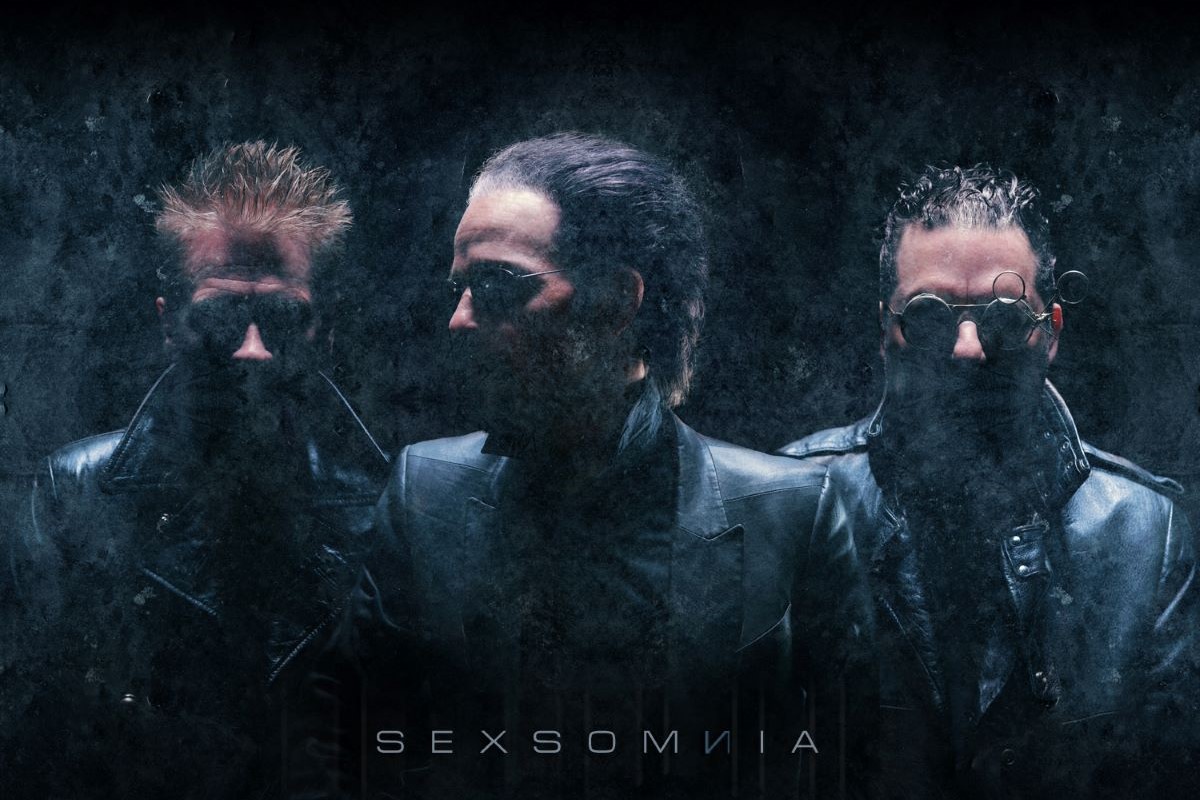 Sexsomnia