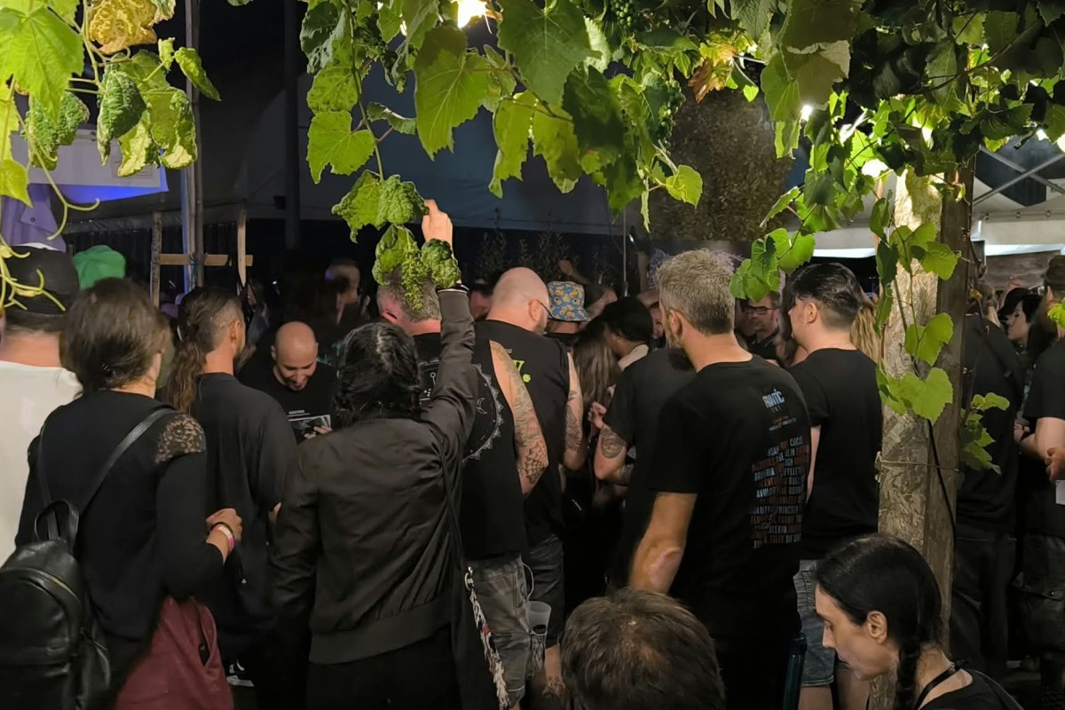 Frantic Fest - After Party